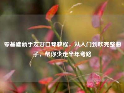 零基础新手友好口琴教程，从入门到吹完整曲子，帮你少走半年弯路