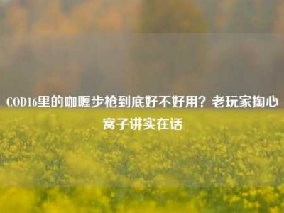 COD16里的咖喱步枪到底好不好用？老玩家掏心窝子讲实在话