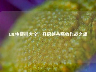 LOL快捷键大全，开启峡谷高效作战之旅