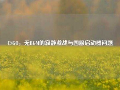 CSGO，无BGM的寂静激战与国服启动器问题