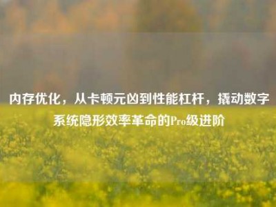 内存优化，从卡顿元凶到性能杠杆，撬动数字系统隐形效率革命的Pro级进阶