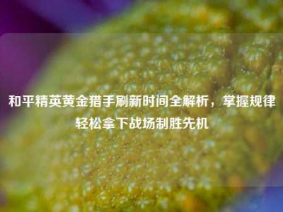 和平精英黄金猎手刷新时间全解析，掌握规律轻松拿下战场制胜先机