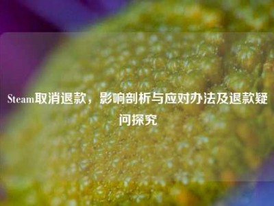 Steam取消退款，影响剖析与应对办法及退款疑问探究
