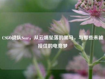 CSGO战队Soar，从云端坠落的黑马，与那些未被接住的电竞梦