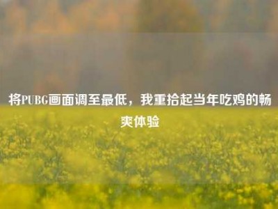 将PUBG画面调至最低，我重拾起当年吃鸡的畅爽体验