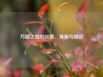 万园之园的兴衰、身份与铭记