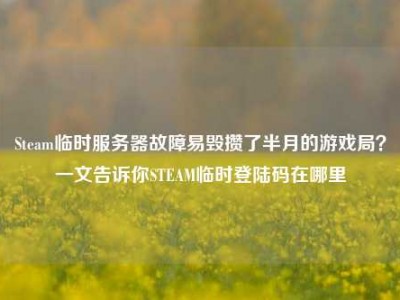 Steam临时服务器故障易毁攒了半月的游戏局？一文告诉你STEAM临时登陆码在哪里