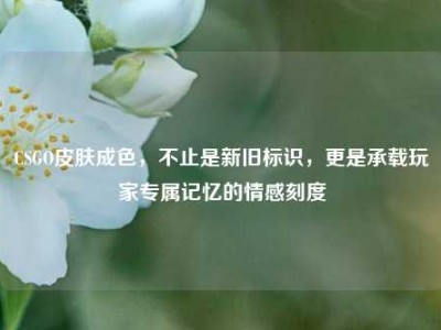 CSGO皮肤成色，不止是新旧标识，更是承载玩家专属记忆的情感刻度