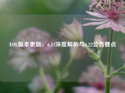 LOL版本更新，6.11深度解析与6.22公告要点