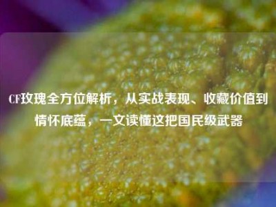 CF玫瑰全方位解析，从实战表现、收藏价值到情怀底蕴，一文读懂这把国民级武器