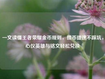 一文读懂王者荣耀金币规则，攒币提速不踩坑，心仪英雄与铭文轻松兑换