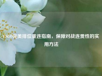 CSGO完美排位重连指南，保障对战连贯性的实用方法