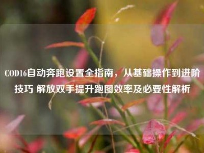 COD16自动奔跑设置全指南，从基础操作到进阶技巧 解放双手提升跑图效率及必要性解析