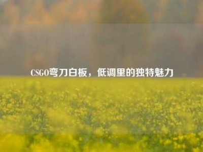 CSGO弯刀白板，低调里的独特魅力