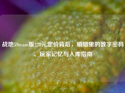 战地5Steam版228元定价背后，硝烟里的数字密码、玩家记忆与入库指南
