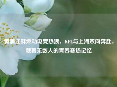 黄浦江畔燃动电竞热浪，KPL与上海双向奔赴，藏着无数人的青春赛场记忆
