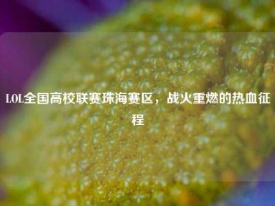 LOL全国高校联赛珠海赛区，战火重燃的热血征程