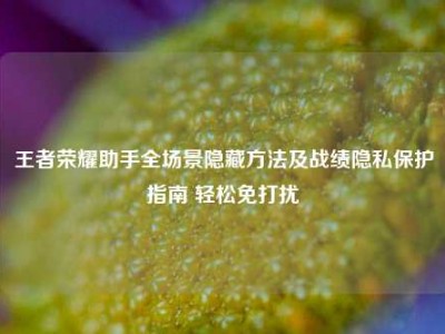 王者荣耀助手全场景隐藏方法及战绩隐私保护指南 轻松免打扰