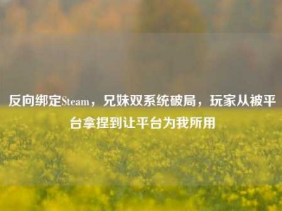反向绑定Steam，兄妹双系统破局，玩家从被平台拿捏到让平台为我所用
