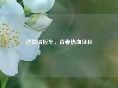 逆战滑板车，青春热血征程