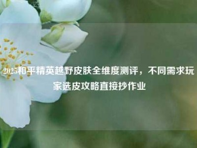 2025和平精英越野皮肤全维度测评，不同需求玩家选皮攻略直接抄作业