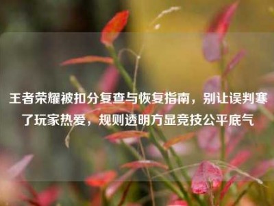 王者荣耀被扣分复查与恢复指南，别让误判寒了玩家热爱，规则透明方显竞技公平底气