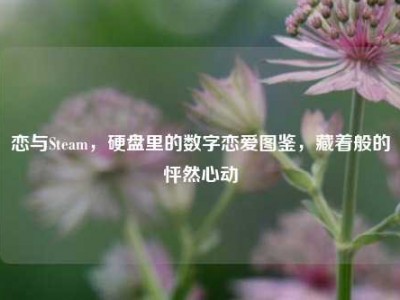 恋与Steam，硬盘里的数字恋爱图鉴，藏着般的怦然心动