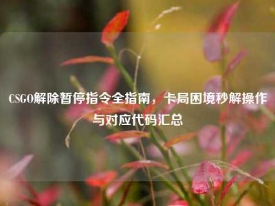 CSGO解除暂停指令全指南，卡局困境秒解操作与对应代码汇总