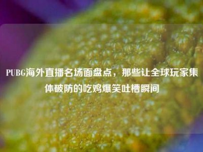 PUBG海外直播名场面盘点，那些让全球玩家集体破防的吃鸡爆笑吐槽瞬间