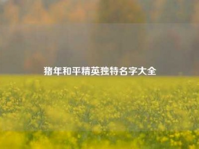 猪年和平精英独特名字大全