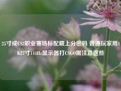 25寸成CS2职业赛场标配藏上分密码 普通玩家用1K27寸144Hz显示器打CSGO需注意这些