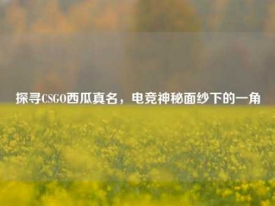 探寻CSGO西瓜真名，电竞神秘面纱下的一角