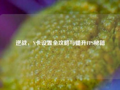 逆战，N卡设置全攻略与提升FPS秘籍