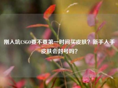 刚入坑CSGO要不要第一时间买皮肤？新手入手皮肤会封号吗？