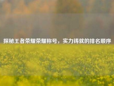 探秘王者荣耀荣耀称号，实力铸就的排名顺序