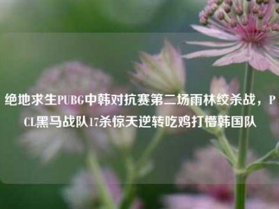 绝地求生PUBG中韩对抗赛第二场雨林绞杀战，PCL黑马战队17杀惊天逆转吃鸡打懵韩国队