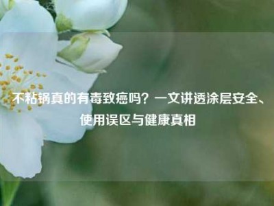 不粘锅真的有毒致癌吗？一文讲透涂层安全、使用误区与健康真相
