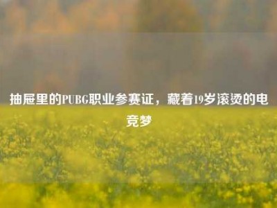 抽屉里的PUBG职业参赛证，藏着19岁滚烫的电竞梦