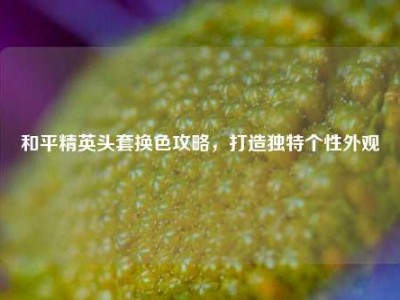 和平精英头套换色攻略，打造独特个性外观