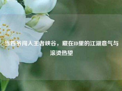当四爷闯入王者峡谷，藏在ID里的江湖意气与滚烫热望