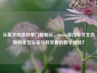 从英文劝退到零门槛畅玩，Steam接口中文生态如何重塑玩家与开发者的数字体验？