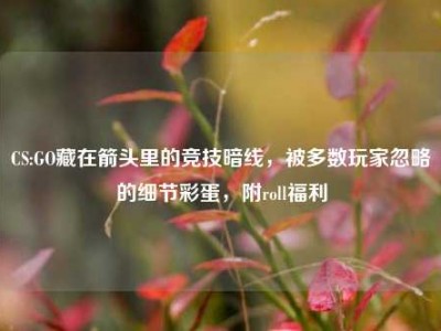 CS:GO藏在箭头里的竞技暗线，被多数玩家忽略的细节彩蛋，附roll福利