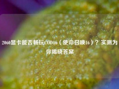2060显卡能否畅玩COD16（使命召唤16）？实测为你揭晓答案