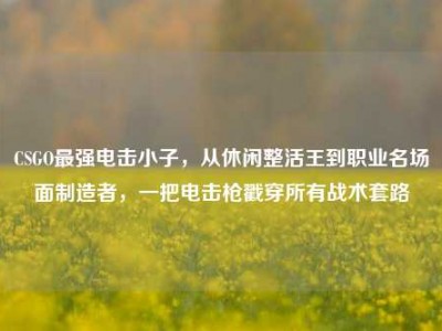 CSGO最强电击小子，从休闲整活王到职业名场面制造者，一把电击枪戳穿所有战术套路