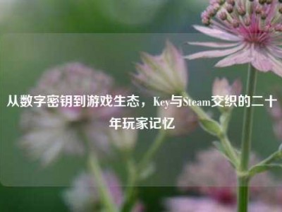 从数字密钥到游戏生态，Key与Steam交织的二十年玩家记忆