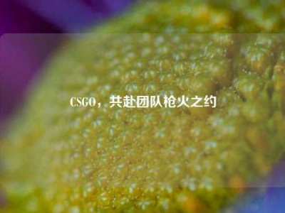 CSGO，共赴团队枪火之约