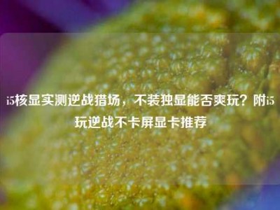 i5核显实测逆战猎场，不装独显能否爽玩？附i5玩逆战不卡屏显卡推荐