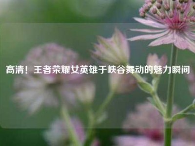 高清！王者荣耀女英雄于峡谷舞动的魅力瞬间