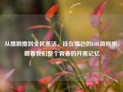 从撸啊撸到全民黑话，挂在嘴边的LOL简称里，藏着我们整个青春的开黑记忆