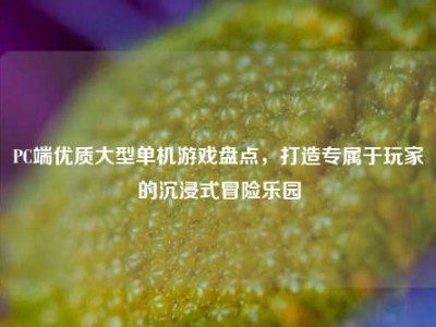 PC端优质大型单机游戏盘点，打造专属于玩家的沉浸式冒险乐园